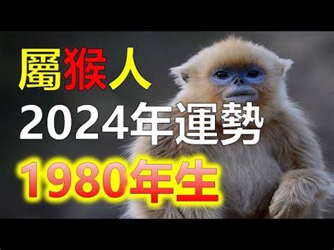 2023猴年運程1980顏色|【1980猴】1980猴命運解讀！五行屬性與2023年運勢全攻略